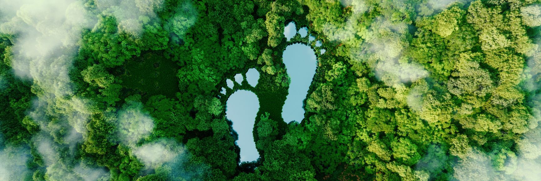 Public Sector ESG Reporting: the Control of Sustainability with both a Small and a Capital S?