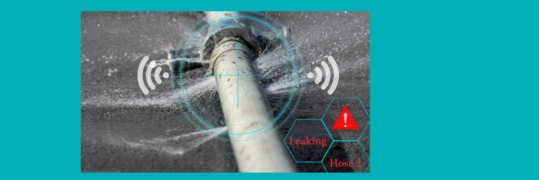 Costing Corruption and Efficiency Losses from Weak PFM Systems