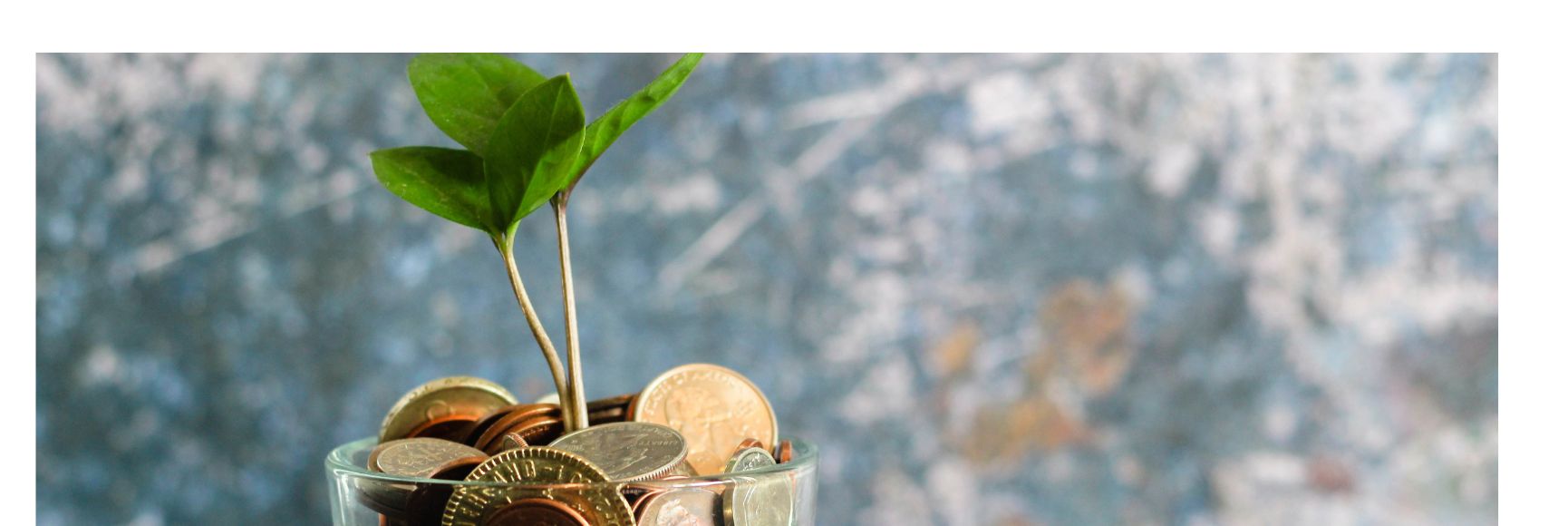 Renewed Interest in Spending Reviews