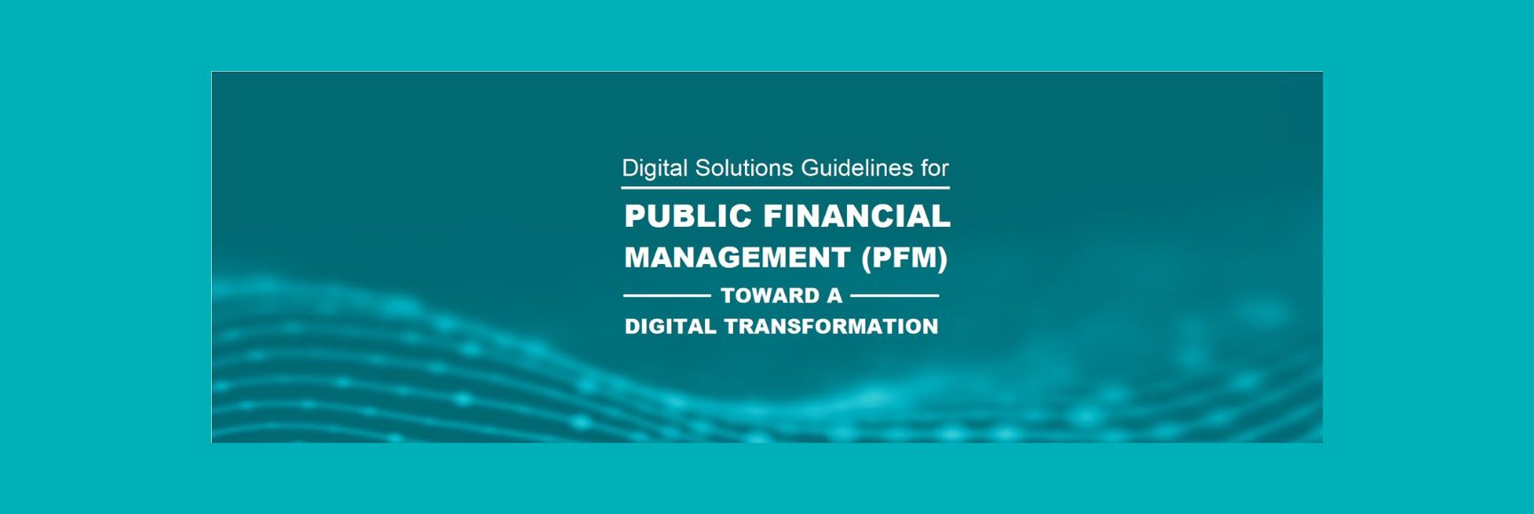 Digital Solutions Guidelines