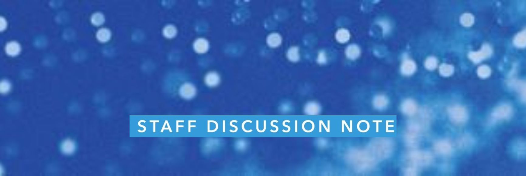 IMF Staff Discussion Note: The State as Financier of Last Resort