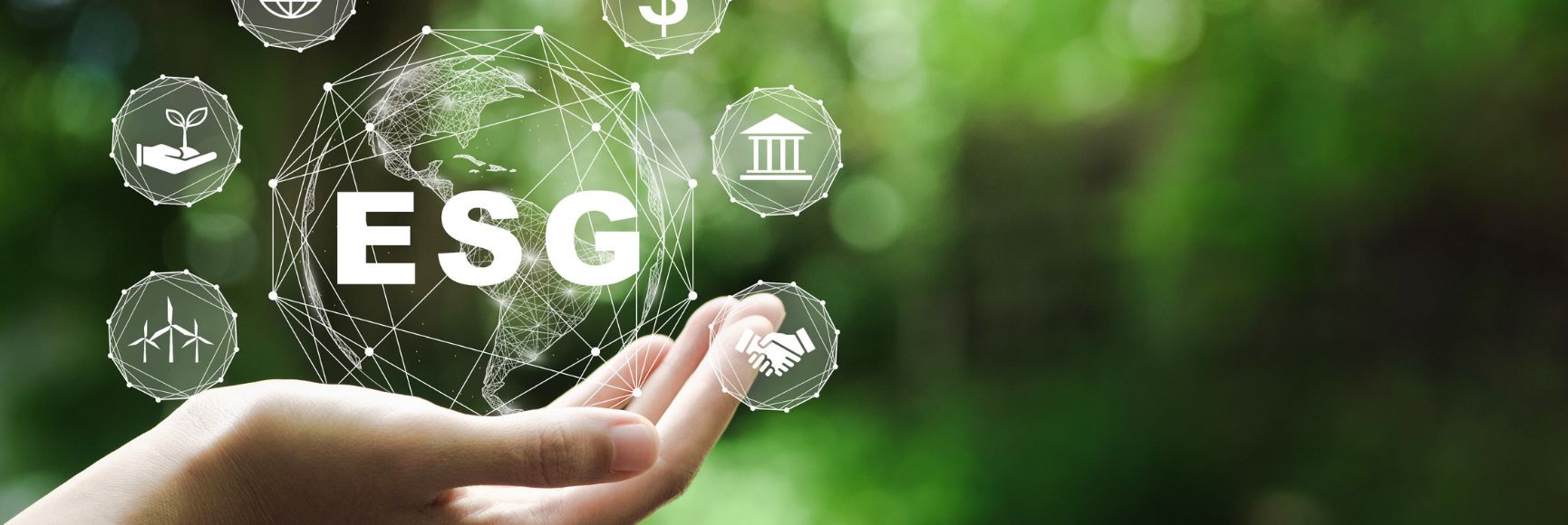 Cash Management Implications of ESG Debt Instruments