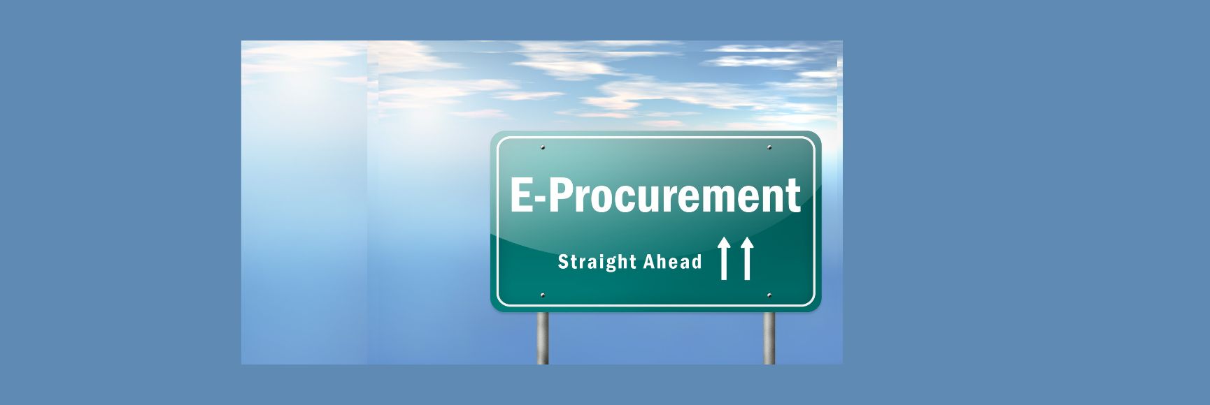 Fulfilling the Promise of Electronic Government: Procurement Lessons from Africa