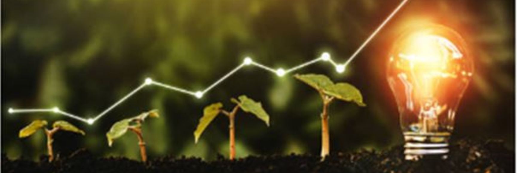 Revisiting the Benefits of Fiscal Transparency