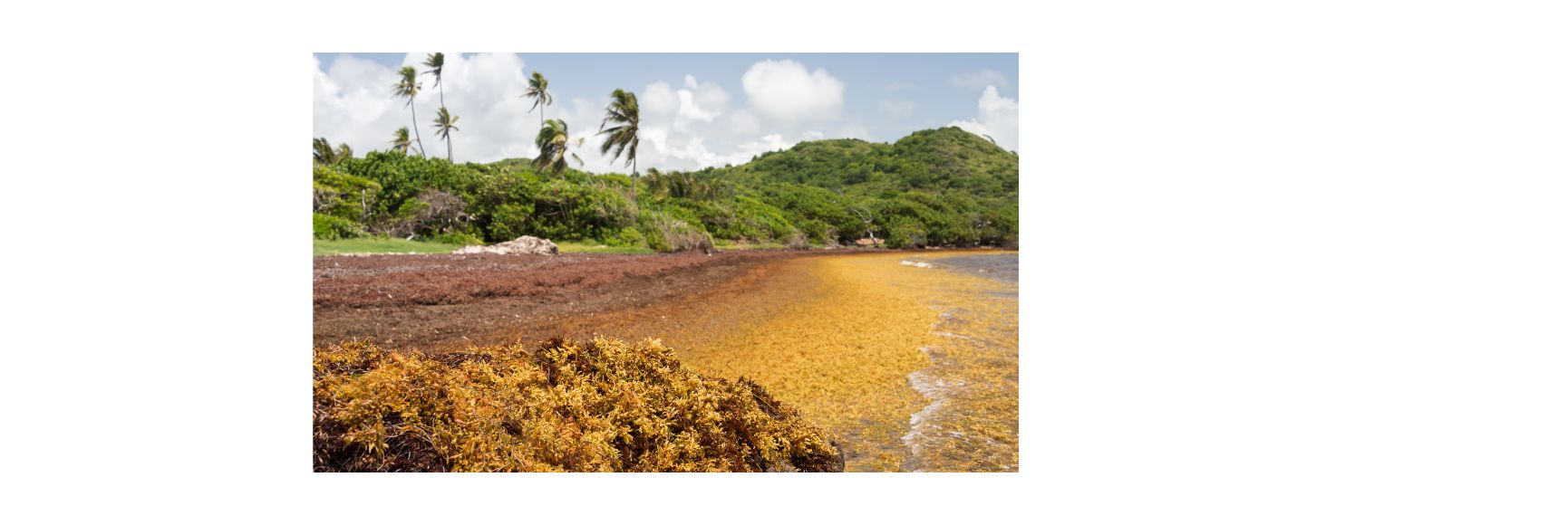 Youth: The Untapped Resource We Need to Save the Planet