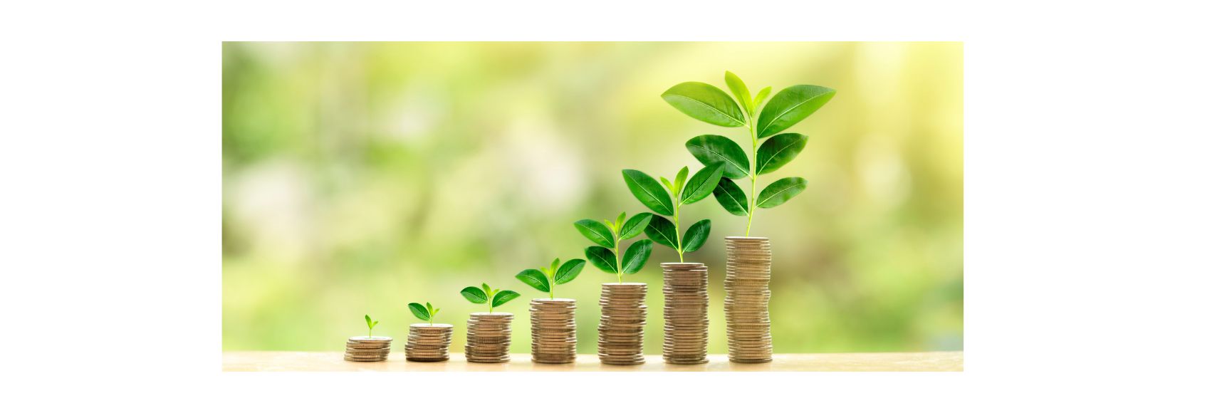 Accounting for Net Zero: The Role of Audit Institutions