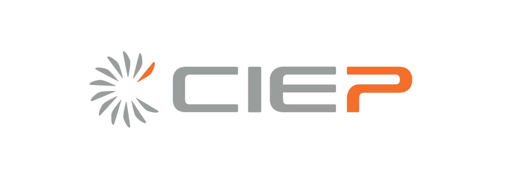 Promoting Sustainable Development through Civil Society