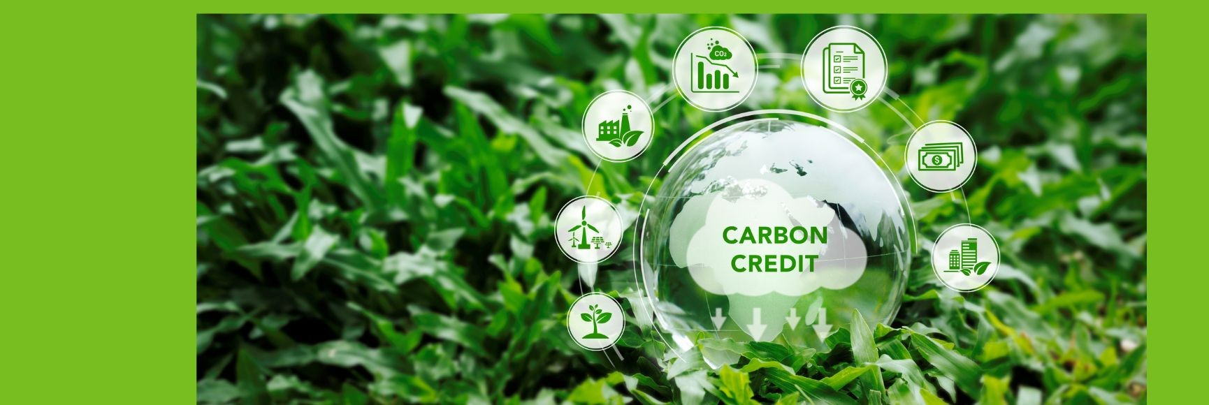 Using Public Policy to Scale Up Private Investment in Carbon Markets