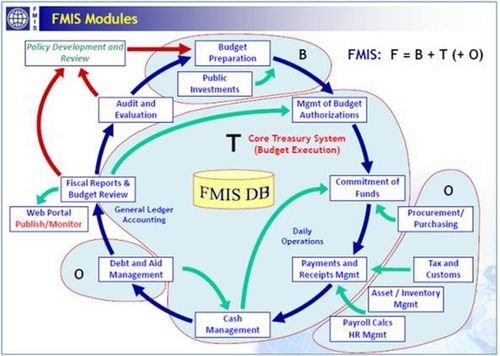 Fmis modules