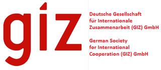 GIZ_logo